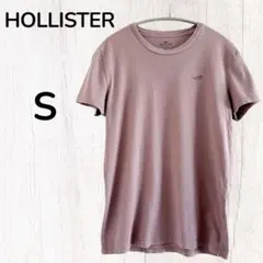 HOLLISTER Tシャツ Sサイズ 半袖 くすんだ藤色