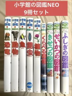 小学館の図鑑NEO プレNEO 9冊セット まとめ売り