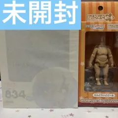 未開封　ねんどろいど　安室透　名探偵コナン　ねんどろいどどーる