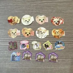 【平成レトロ】実写　フレークシール