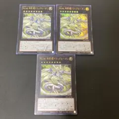 【匿名発送】遊戯王　No.46 神影龍ドラッグルーオン　ウルトラ　3枚