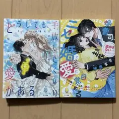 どうしても、手放したくない愛がある エリート御曹司の終わらない独占欲 他、2冊