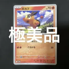 (極美品)(状態良好)(即日発送)ポカブ C ポケモンカード