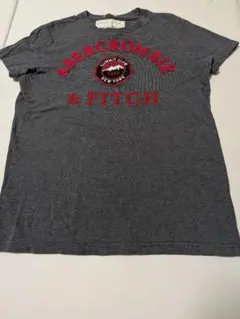 Abercrombie & Fitch マッスルフィットTシャツ S グレー