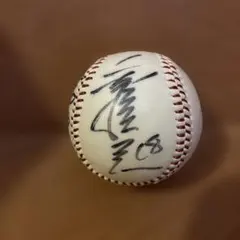 元中日ドラゴンズ ダヤン・ビシエド選手 直筆サインボール - メルカリ