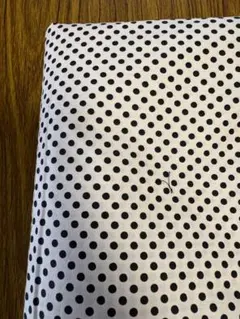 Item thumbnail for item 48e1411e-607f-4930-bb9d-2dfeb7b19ab5