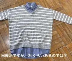 サイズ大きめ重ね着風グレーと白のストライプ Vネックニット