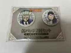 Dr.STONE 缶バッジ2個セット 石神千空＆あさぎりゲン