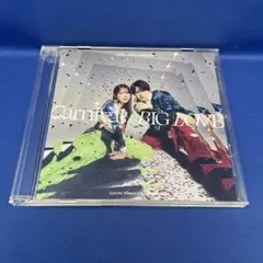 Carnival / BIG LOVE 内田真礼 内田雄馬 シングル CD 声優