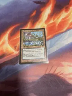 フェアリーの集会場 Foil - メルカリ