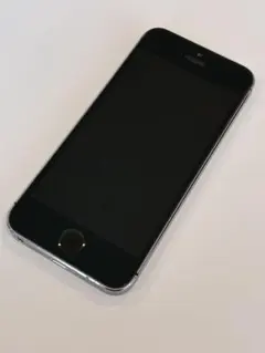 iPhone 5s ～値下げ可～