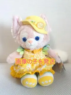 2026年最新】リーナベルぬいぐるみSSの人気アイテム - メルカリ