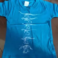 恐竜 骨格プリント キッズ Tシャツ 110