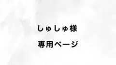 しゅしゅ様 専用ページ