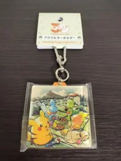 新品 ポケモンTimeless Adventure アクリルブロックホウエン - メルカリ