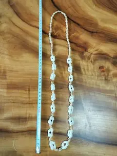 Item thumbnail for item 14099f20-d6c7-4f3f-8f08-cc8f649b0b28