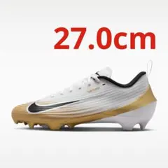 Item thumbnail for item 44000857-83a8-4720-874c-0ab80300c95f