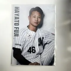 千葉ロッテマリーンズ　ブロマイド　富士隼斗