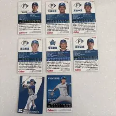 プロ野球 カルビー トレーディングカードセット