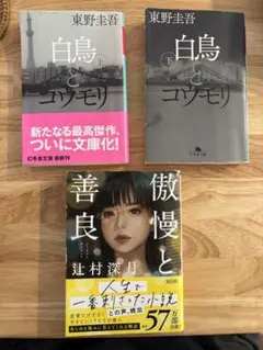 Item thumbnail for item e08301b2-5c9a-4b63-afbf-7233fbf41e77