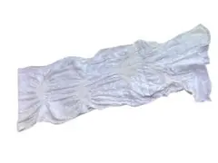 Item thumbnail for item 09aa4209-4938-414c-b819-3f64ae21911f