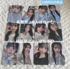 Item thumbnail for item e73d445d-c10b-4f65-8edd-78e58befa22c