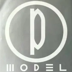 P-MODEL