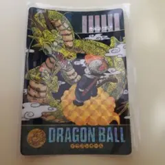 Item thumbnail for item dd645df9-fd17-45cf-8010-1e2b4a16c0dd