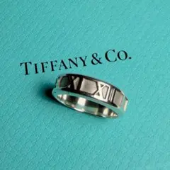ティファニー　指輪　17号　美品 2026年最新】 TIFFANY リング 17号の人気アイテム - メルカリ