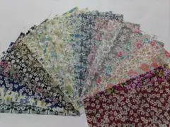 ⑤リバティ　10x20cm　20枚セット　古い柄