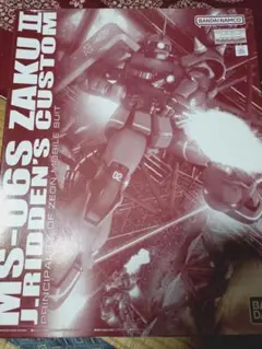 極美品】バブルキャスト 1/30 MS-06R ザクII 黒い三連星使用機 - メルカリ