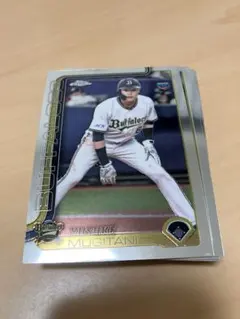 Item thumbnail for item 0b854741-a65c-4a7c-a43a-2439d82ff02e