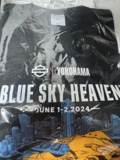 THA BLUE HERB 結成24周年記念 Tシャツ Mブルーハーブ - メルカリ