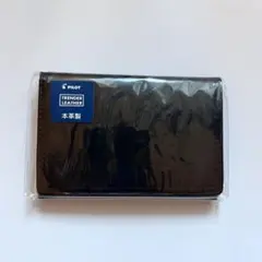 Item thumbnail for item 336723fd-a7a2-4f9f-9de3-1c97a27ec54a