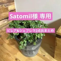 satomil様 リクエスト 2点 まとめ商品