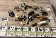 2026年最新】アニア廃盤の人気アイテム - メルカリ