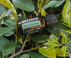 ３日（金）１５時迄 リピートずいふ様 リクエスト 3点 まとめ商品