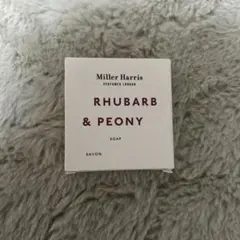 Item thumbnail for item a436cd7b-8f49-496a-913d-b9f04ae8018f