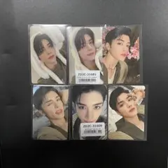 &TEAM マキ maki 雪明かり トレカ ふわふわアニマルフォトカード