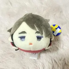 ハイキュー 宮治 もちマス