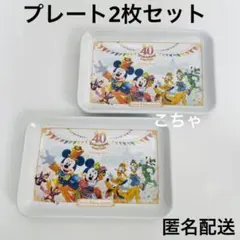 ディズニー　40周年　スーベニアプレート　プレート　スーベニア　お皿　皿　2枚