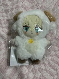 Chiruse☆*° ねこ着ぐるみセット すの チル ぬい Chiruse☆*°様専用 ねこ着ぐるみセット すの チル ぬい - メルカリ