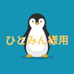ひとみん様専用です(^^)