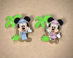 東京ディズニーランド　景品ピンバッジセット