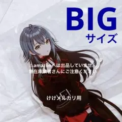 葛城リーリヤ BIGアクリルスタンド カラ鉄 vol.1 オンライン限定 未