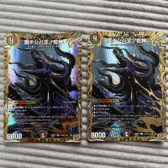 堕チシ八叉ノ蛇神 ナルガロッチ ヴリドガルド シークレット - メルカリ