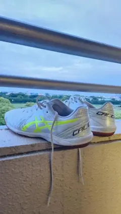 Item thumbnail for item 4d87e6e5-386d-4546-9af9-a132a3f8a151