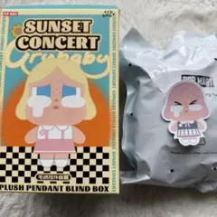 CryBaby Sunset concert【PINK GREY】