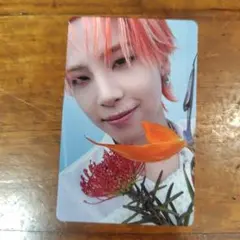 JO1 1ST BEST ALBUM トレーディングカード