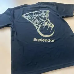 Item thumbnail for item 2e9d1a9f-1165-4f60-8339-14ab97976d1c